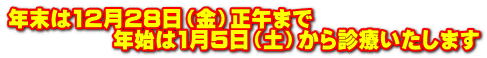 年末は12月28日(金)正午まで 年始は1月5日(土)から診療いたします